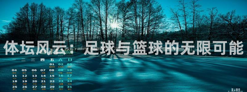 注册vsport体育官方正版app:体坛风云:足球与篮球的无