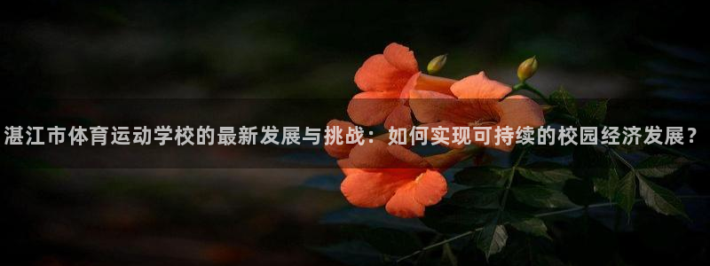 vsport体育官方正版app娱乐40996:湛江市体育运动