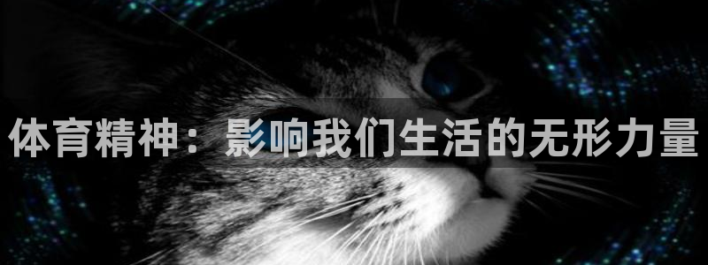 vsport体育官方正版app娱乐网站:体育精神:影响我们生