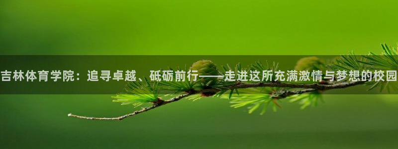 vsport体育官网下载招商电话号码是多少号:吉林体育学院: