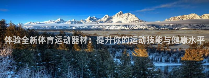 vsport体育官方正版app集团:体验全新体育运动器材:提